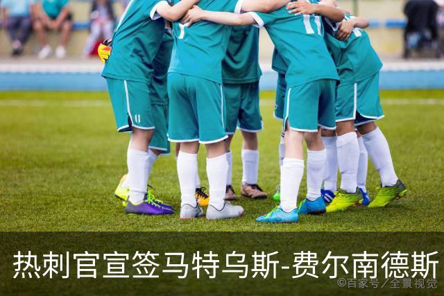 热刺官宣签马特乌斯-费尔南德斯 转会费8500万镑破纪录