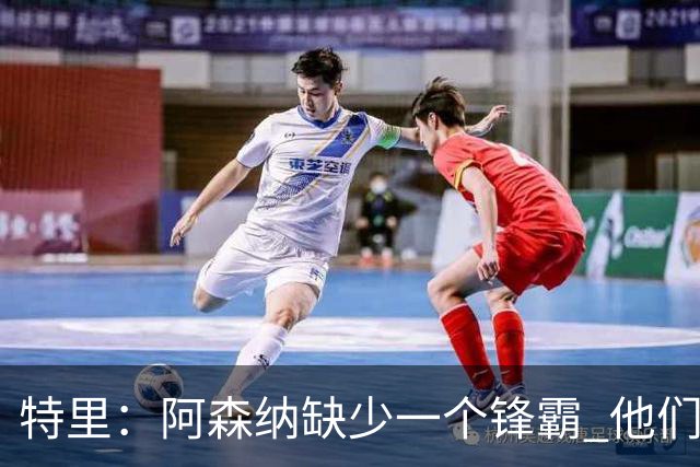 特里：阿森纳缺少一个锋霸 他们距离统治英超只差1、2笔签约